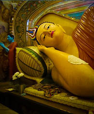  Isipathanaramaya Temple