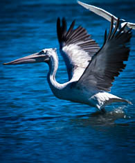  Kumana National Park