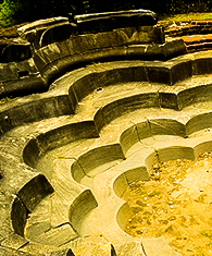  Nelum Pokuna